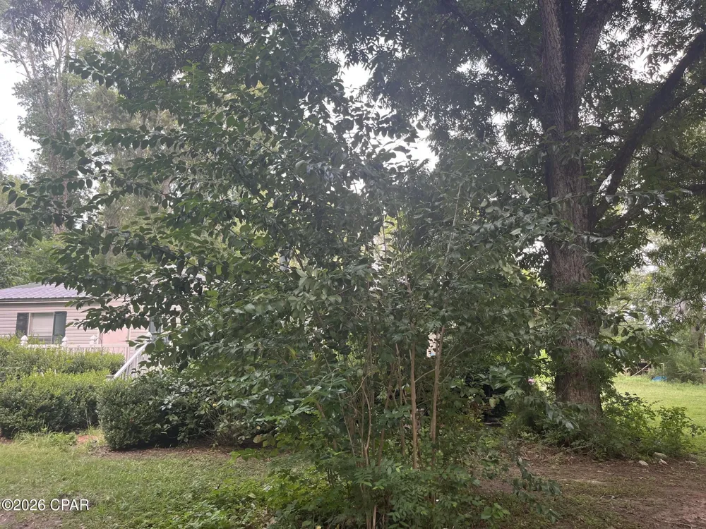 4854 Highway 231 Campbellton, FL 32426