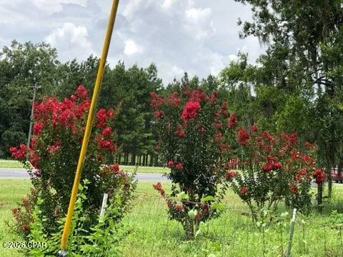 4854 Highway 231 Campbellton, FL 32426