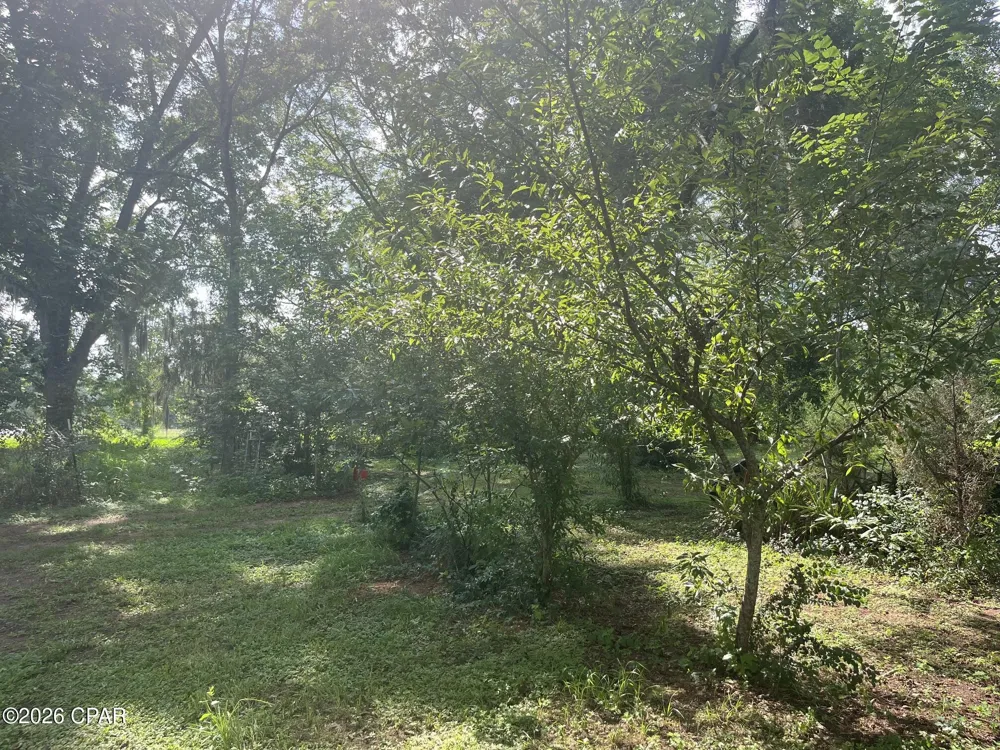 4854 Highway 231 Campbellton, FL 32426