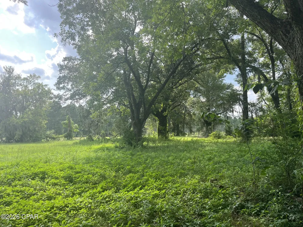 4854 Highway 231 Campbellton, FL 32426