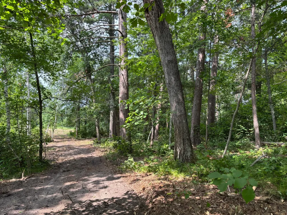TBD Woodland Hills Drive SE Bemidji, MN 56601