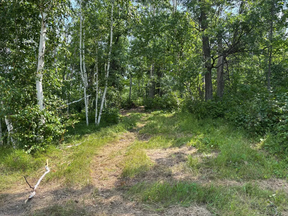 TBD Woodland Hills Drive SE Bemidji, MN 56601