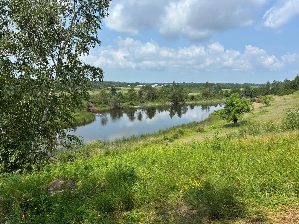 TBD Woodland Hills Drive SE Bemidji, MN 56601