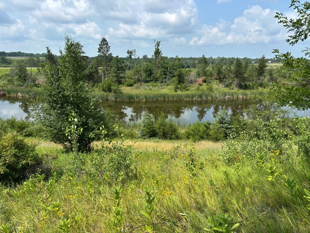 TBD Woodland Hills Drive SE Bemidji, MN 56601