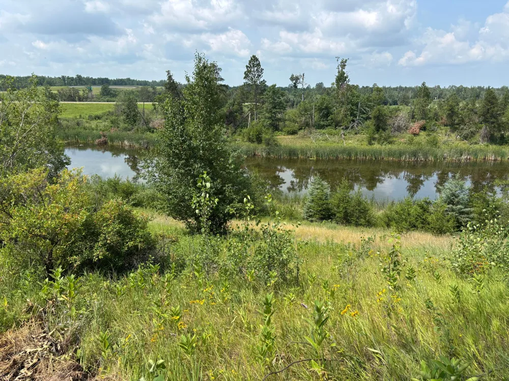 TBD Woodland Hills Drive SE Bemidji, MN 56601