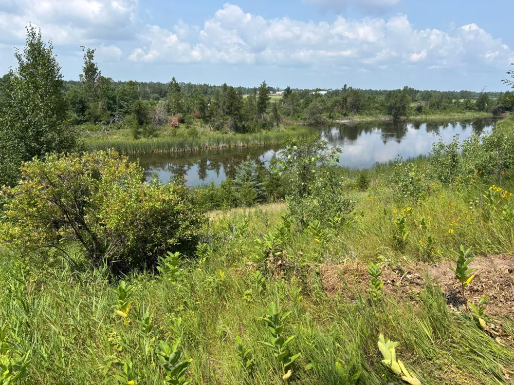 TBD Woodland Hills Drive SE Bemidji, MN 56601
