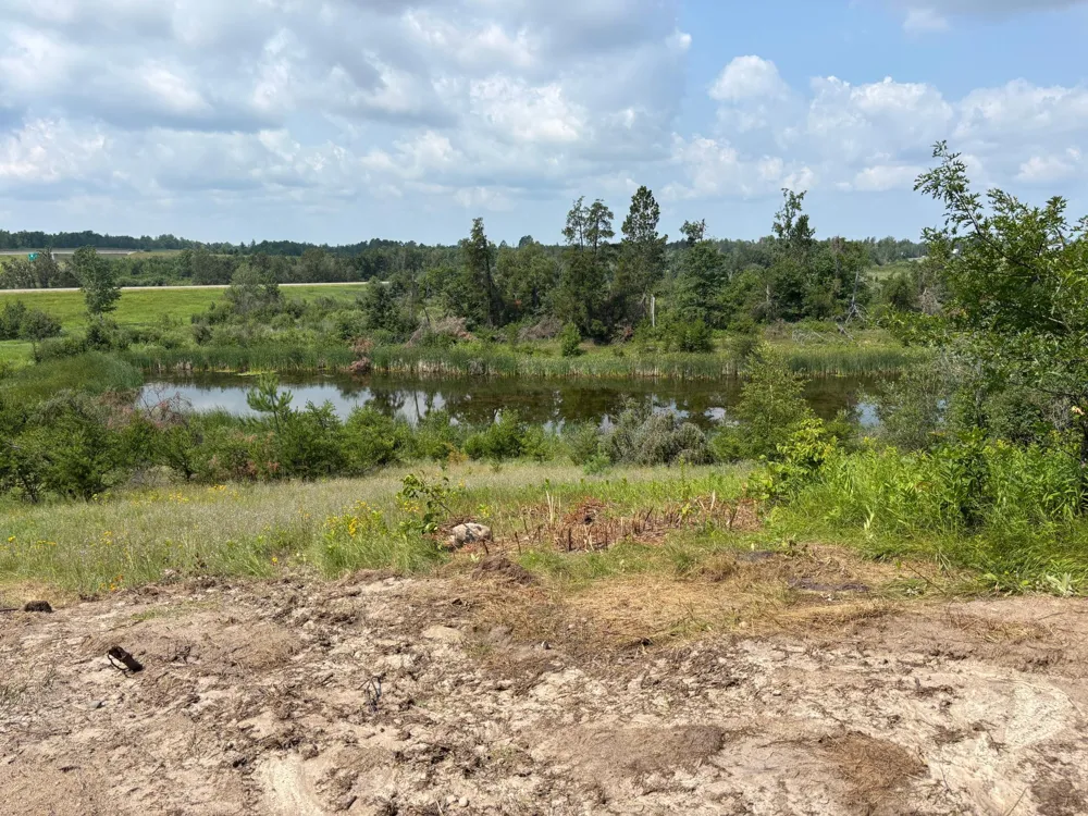 TBD Woodland Hills Drive SE Bemidji, MN 56601