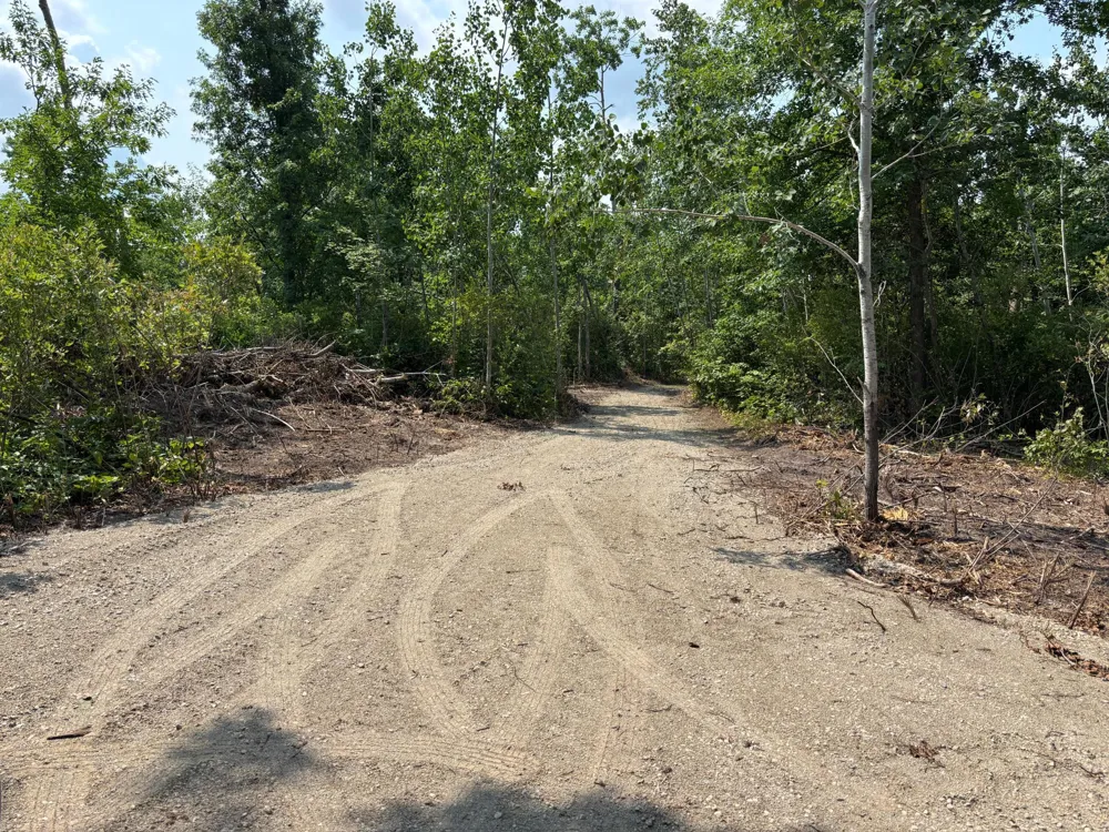 TBD Woodland Hills Drive SE Bemidji, MN 56601