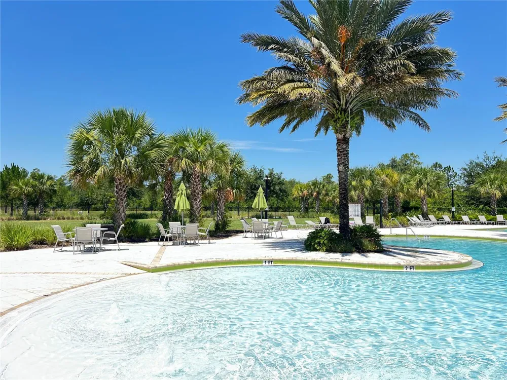 17391 SAW PALMETTO AVENUE Clermont, FL 34714