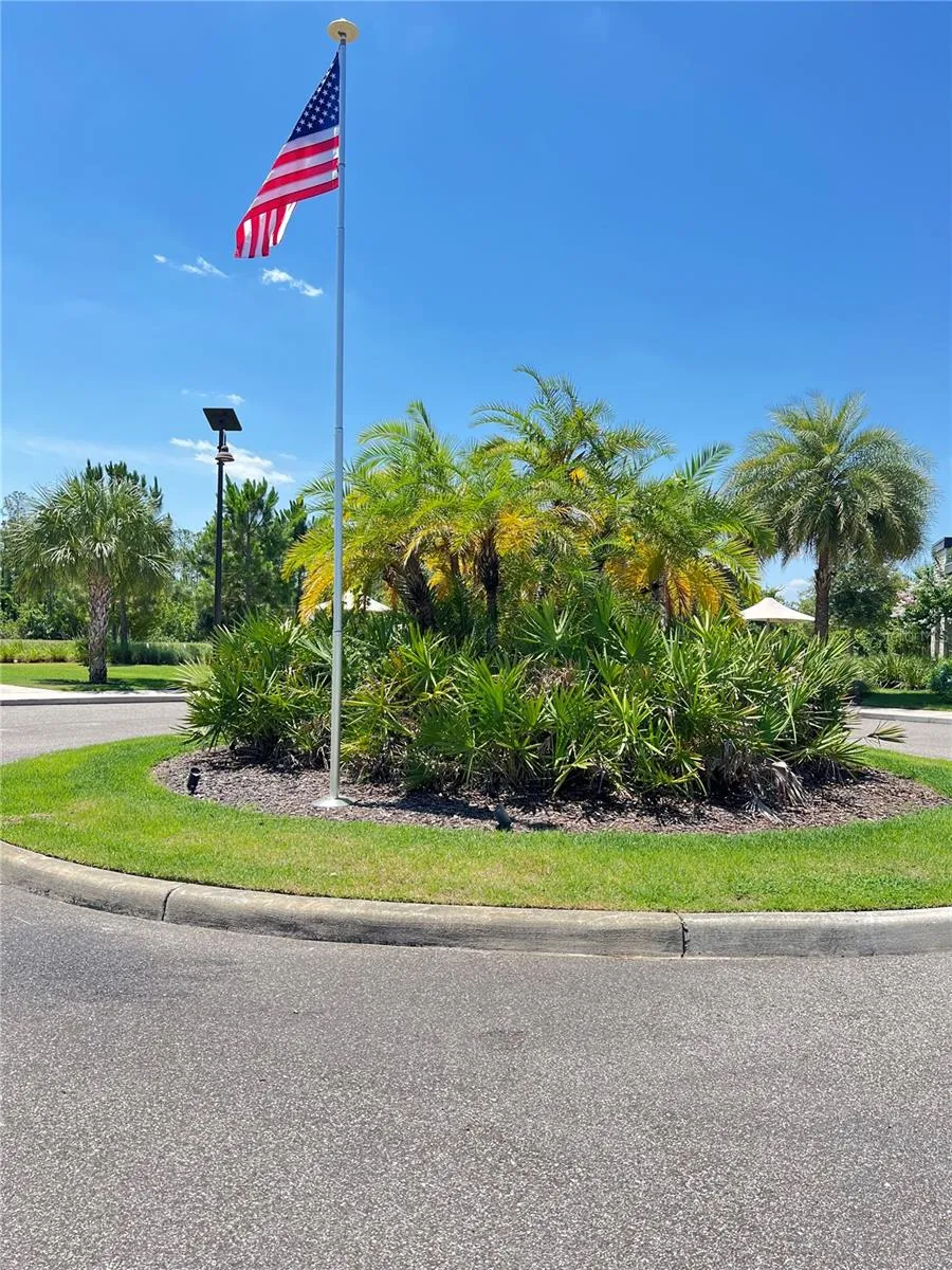17391 SAW PALMETTO AVENUE Clermont, FL 34714