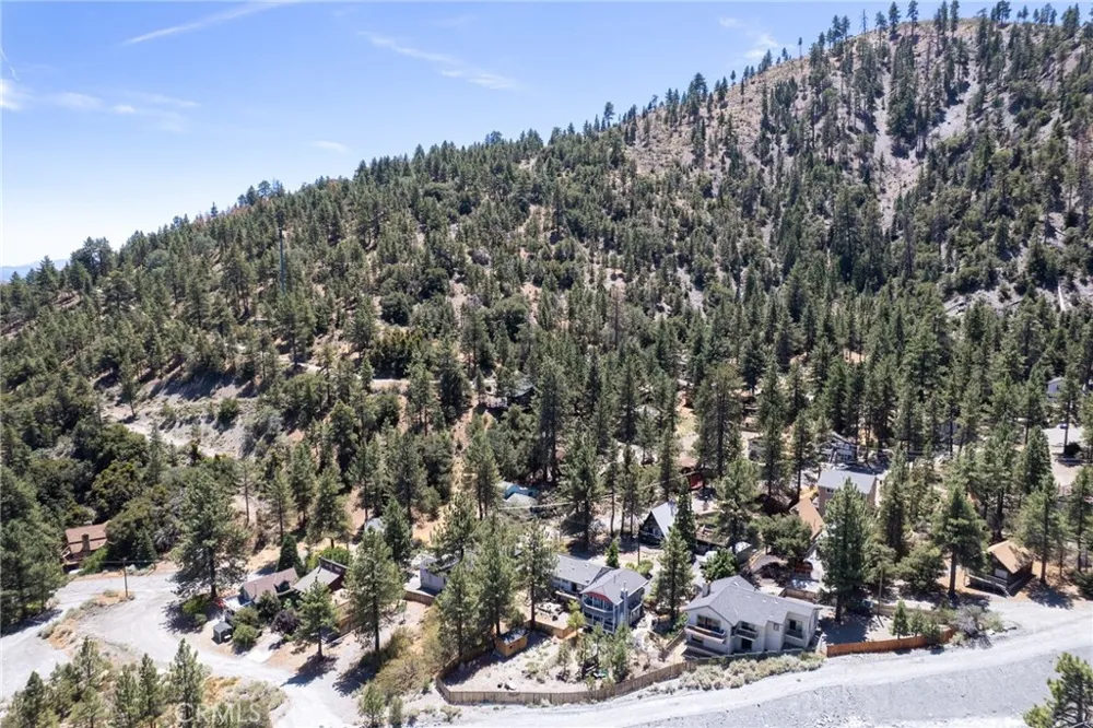 2054 Slippery Elm Wrightwood, CA 92397