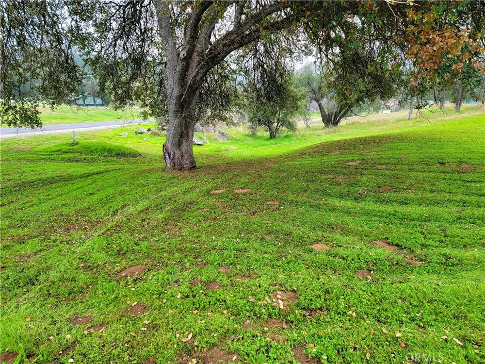 29682 Yosemite Springs Parkway Coarsegold, CA 93614