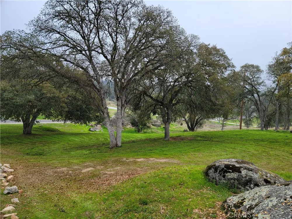 29682 Yosemite Springs Parkway Coarsegold, CA 93614