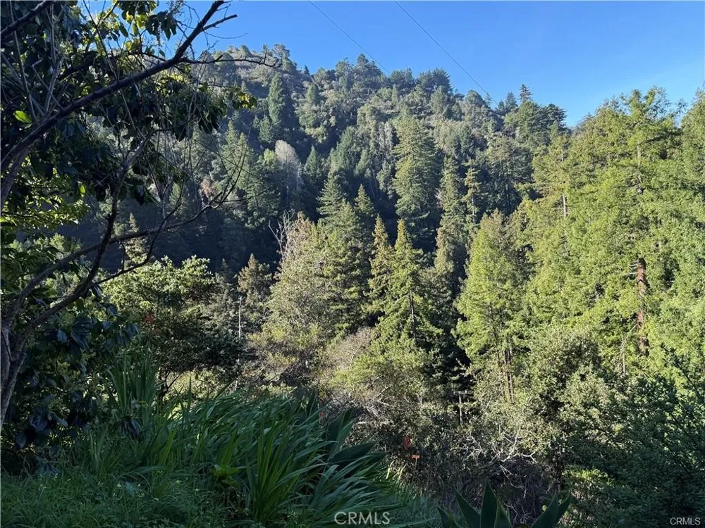 65 Garapatos Redwoods Trail 1 Carmel, CA 93923