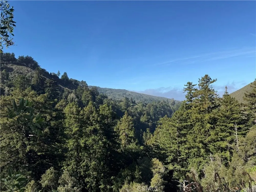 65 Garapatos Redwoods Trail 1 Carmel, CA 93923