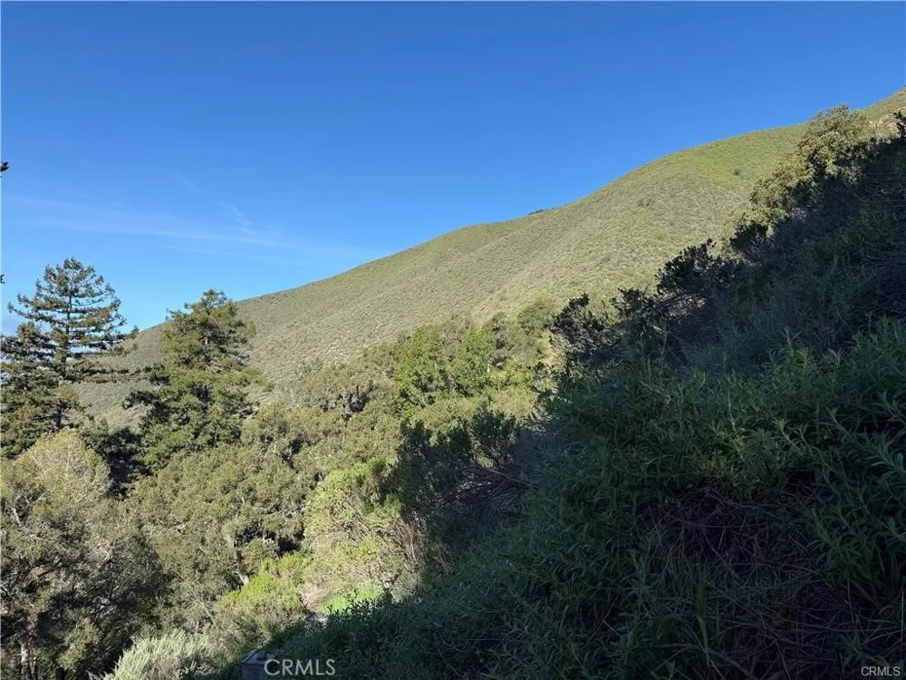 65 Garapatos Redwoods Trail 1 Carmel, CA 93923