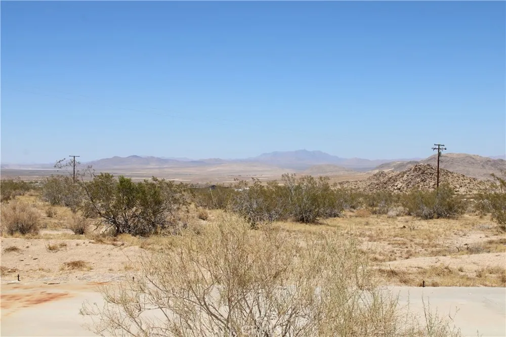 5 Joshua Tree Johnson Valley, CA 92285