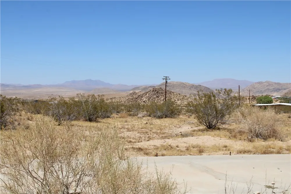 5 Joshua Tree Johnson Valley, CA 92285