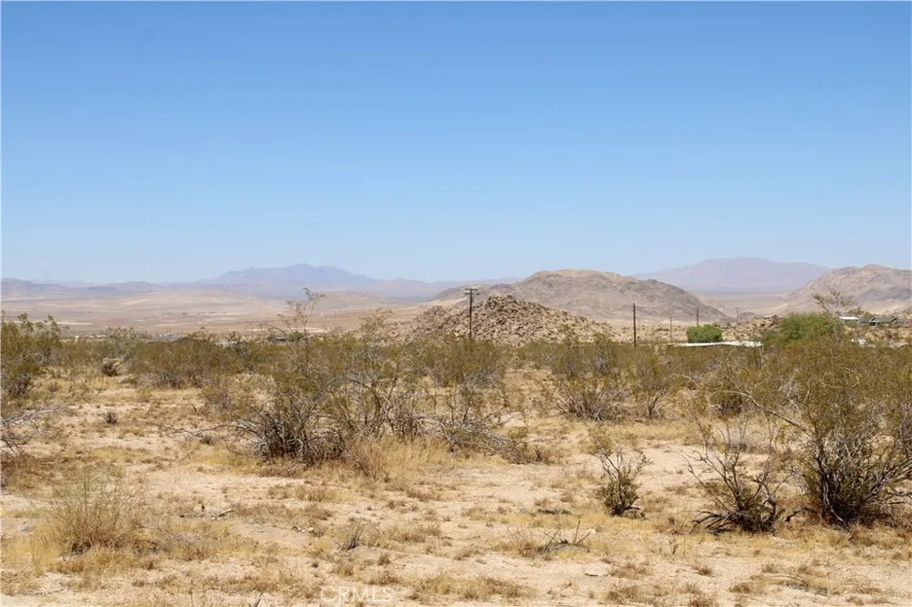 5 Joshua Tree Johnson Valley, CA 92285