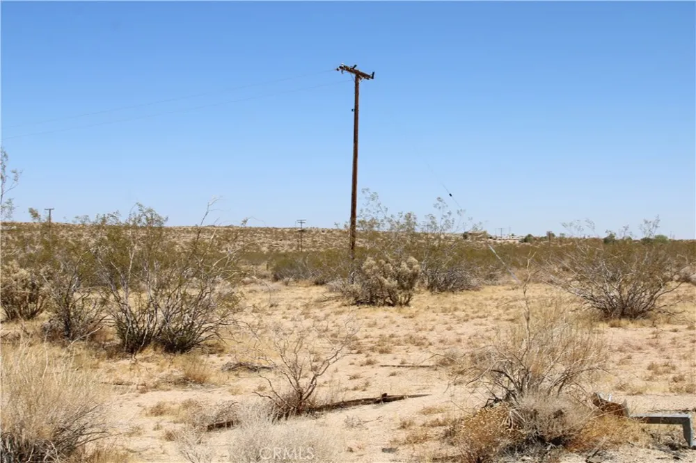 5 Joshua Tree Johnson Valley, CA 92285