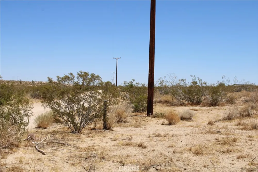 5 Joshua Tree Johnson Valley, CA 92285