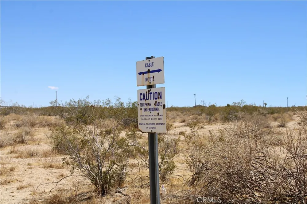 5 Joshua Tree Johnson Valley, CA 92285