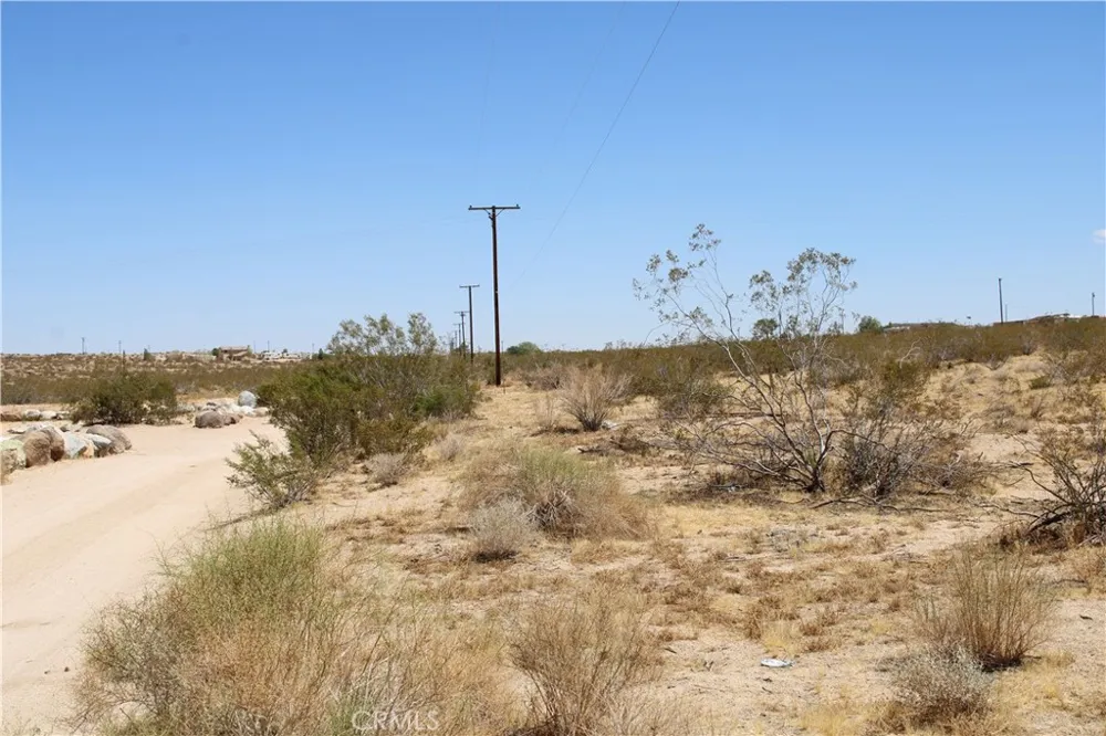 5 Joshua Tree Johnson Valley, CA 92285