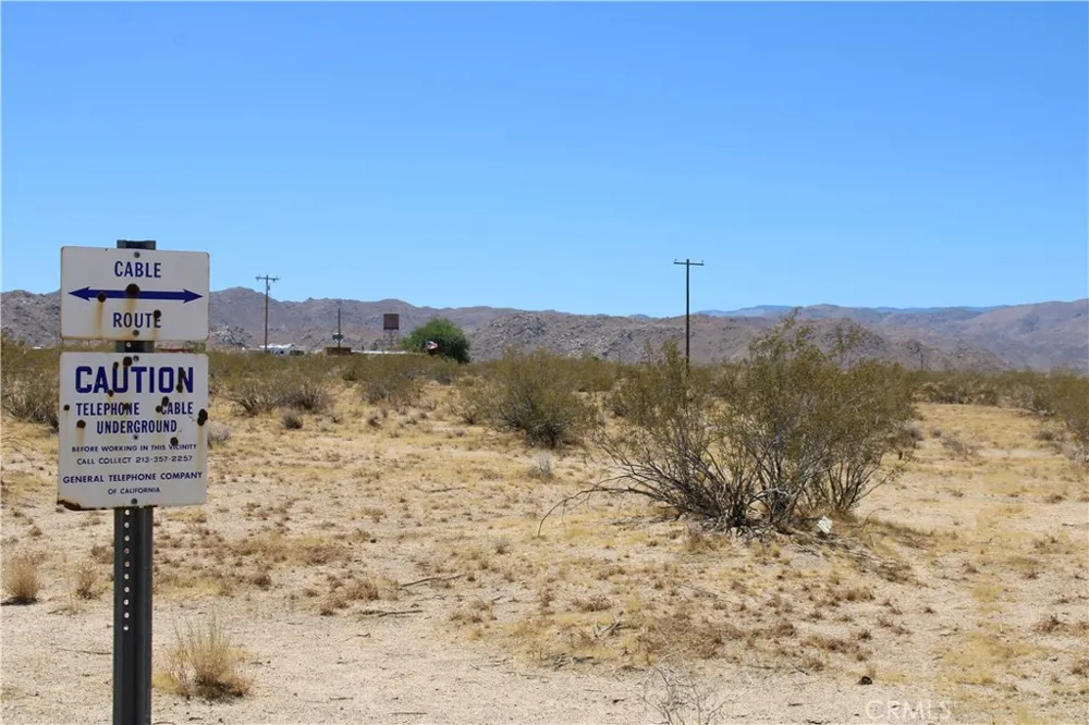 5 Joshua Tree Johnson Valley, CA 92285