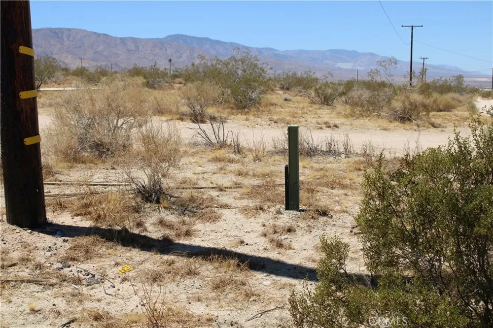 5 Joshua Tree Johnson Valley, CA 92285