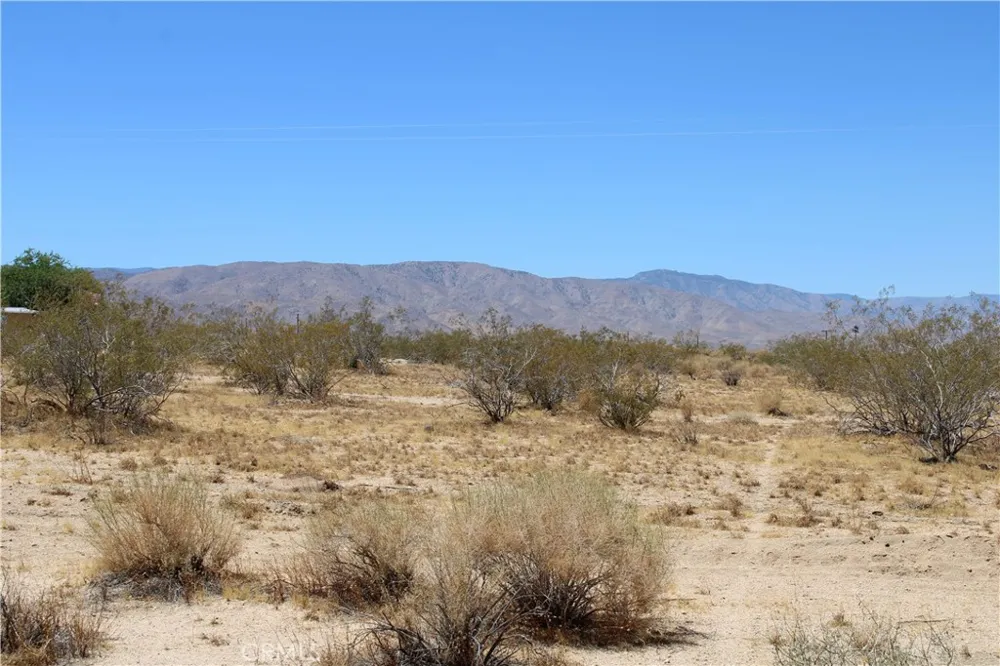 5 Joshua Tree Johnson Valley, CA 92285