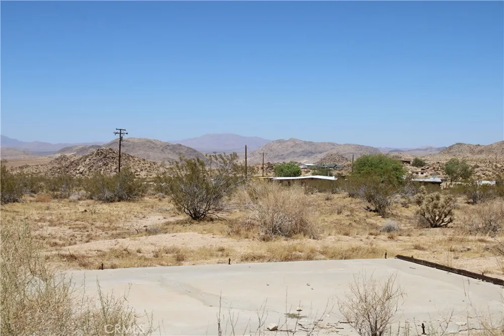 5 Joshua Tree Johnson Valley, CA 92285