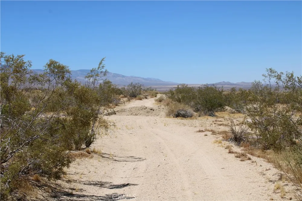5 Joshua Tree Johnson Valley, CA 92285