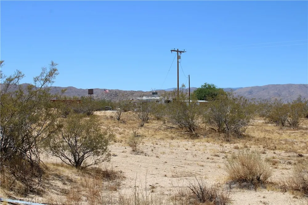 5 Joshua Tree Johnson Valley, CA 92285