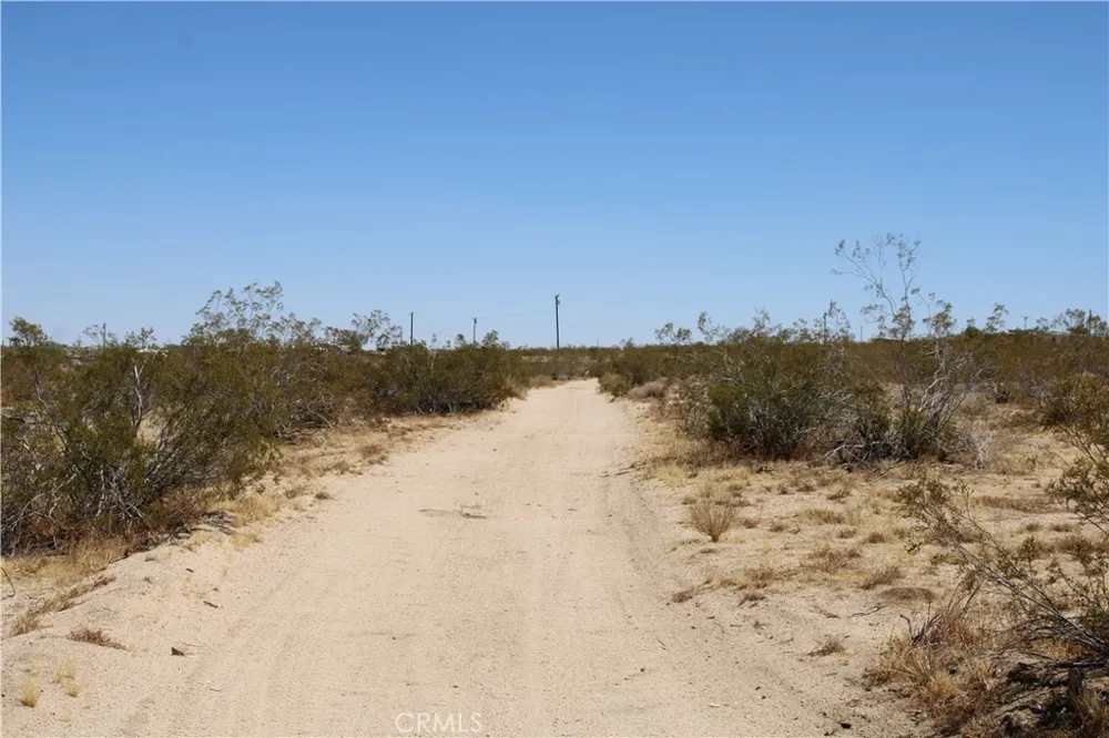5 Joshua Tree Johnson Valley, CA 92285