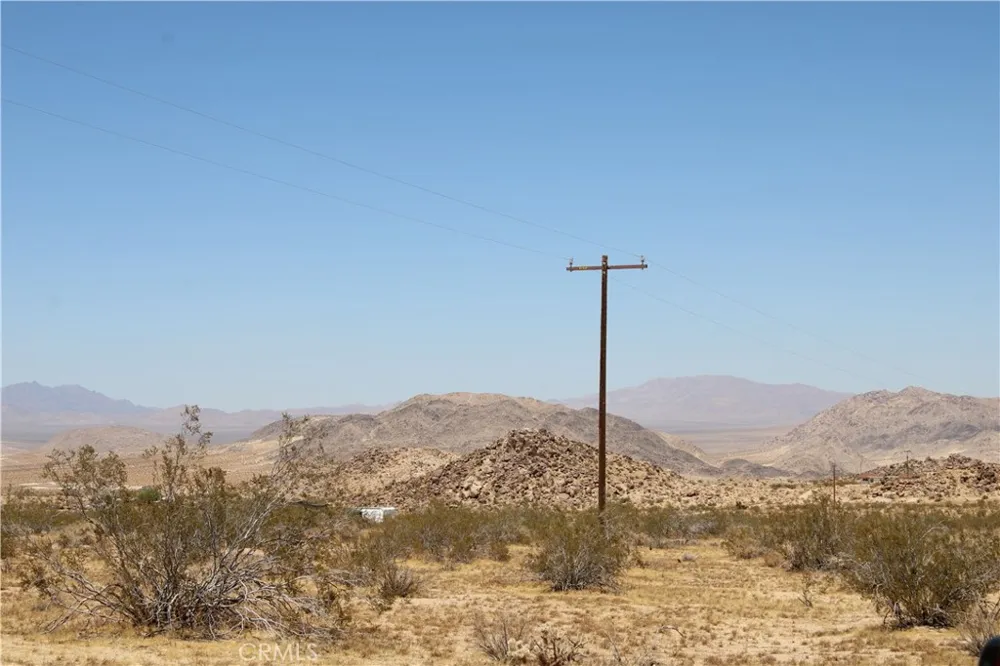 5 Joshua Tree Johnson Valley, CA 92285