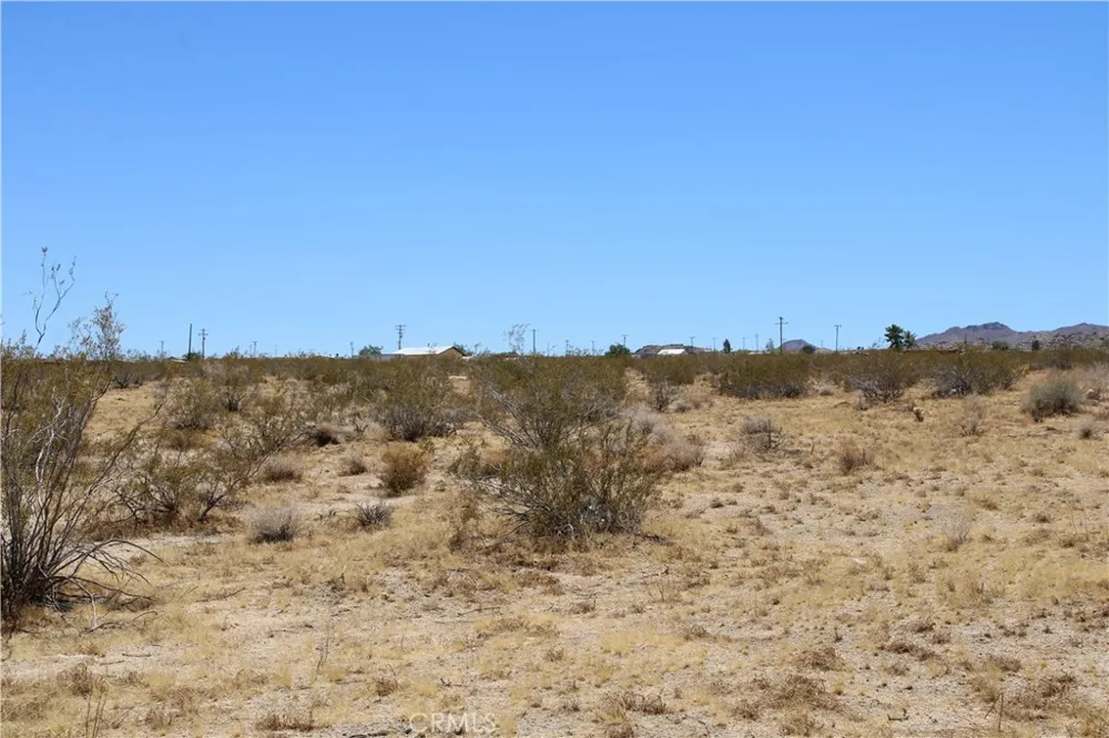 5 Joshua Tree Johnson Valley, CA 92285