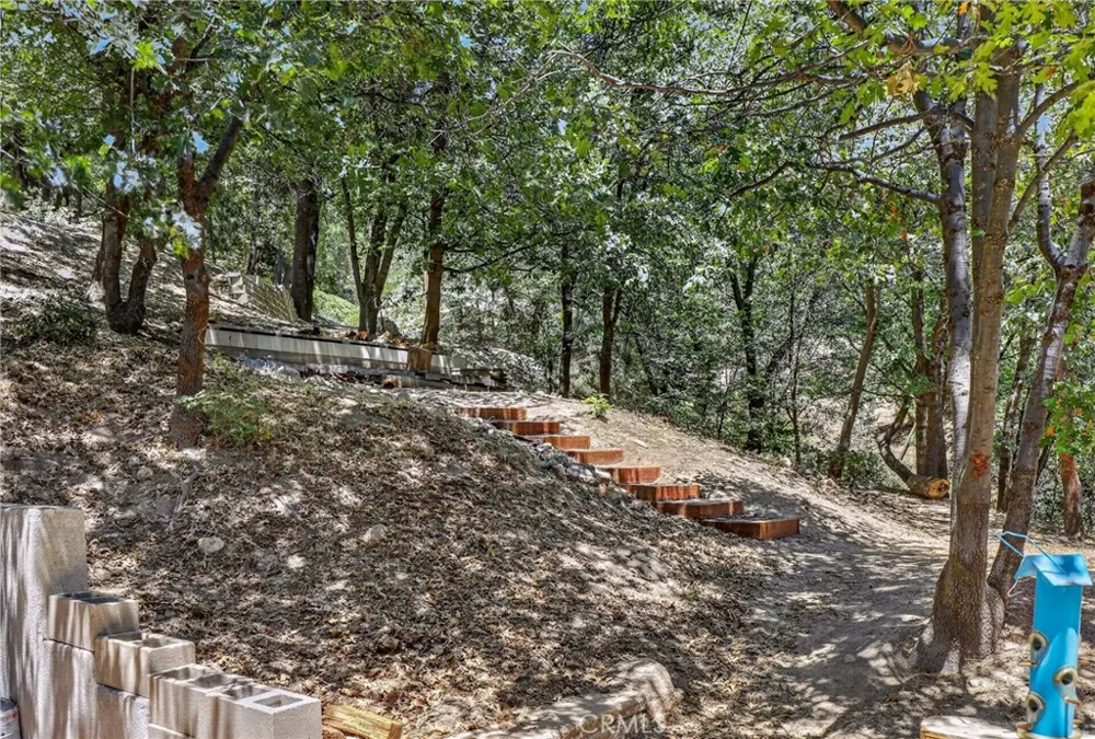 77 Park Drive Running Springs, CA 92382