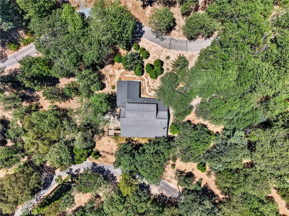 77 Park Drive Running Springs, CA 92382