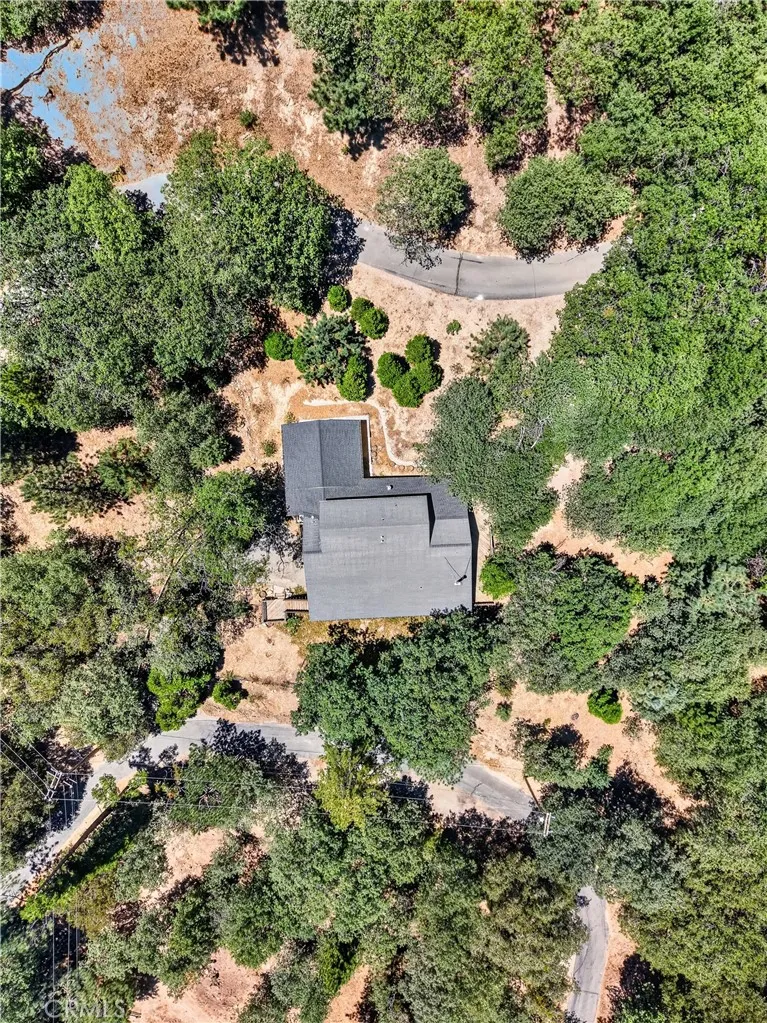 77 Park Drive Running Springs, CA 92382