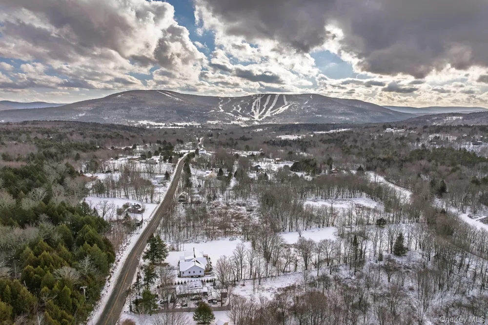 305 Mitchell Hollow Road Windham, NY 12496