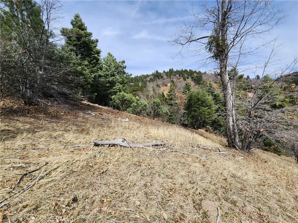 30914 Old City Creek Road Running Springs, CA 92382