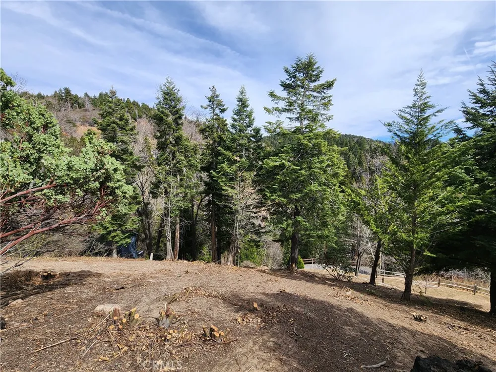 30914 Old City Creek Road Running Springs, CA 92382