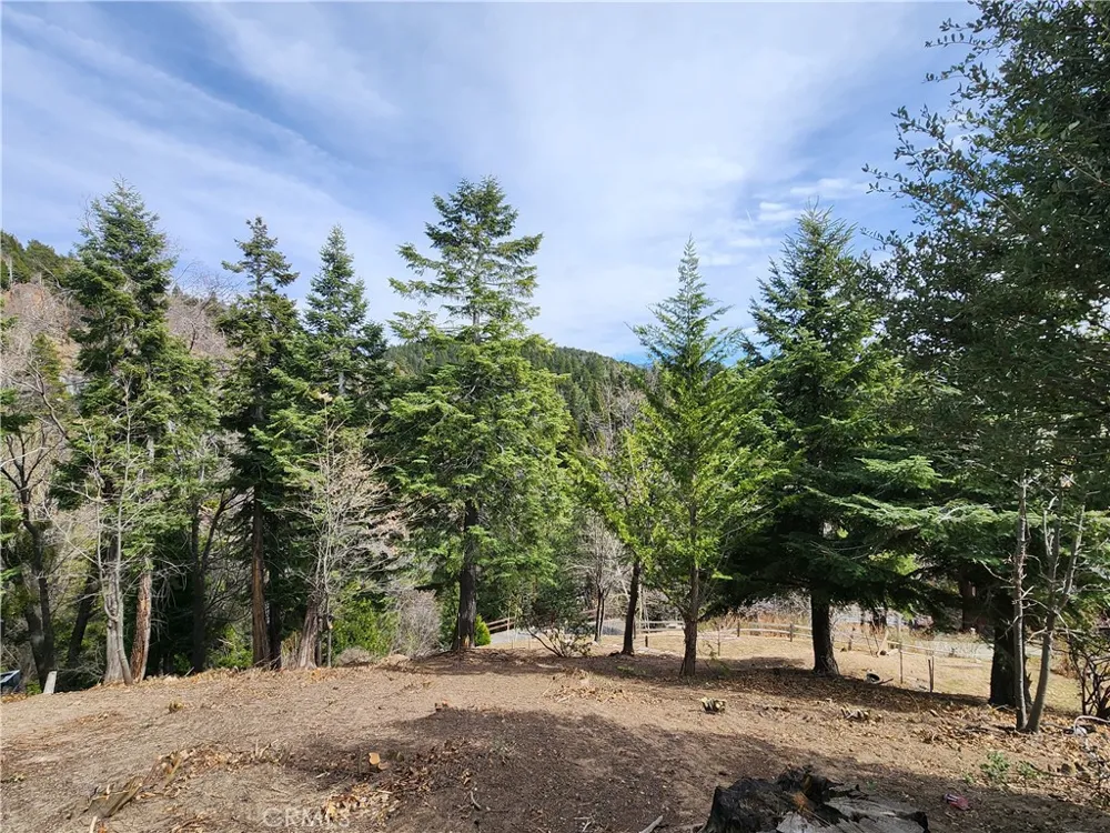30914 Old City Creek Road Running Springs, CA 92382