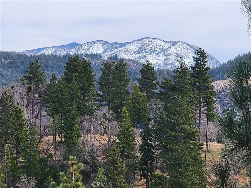 30914 Old City Creek Road Running Springs, CA 92382