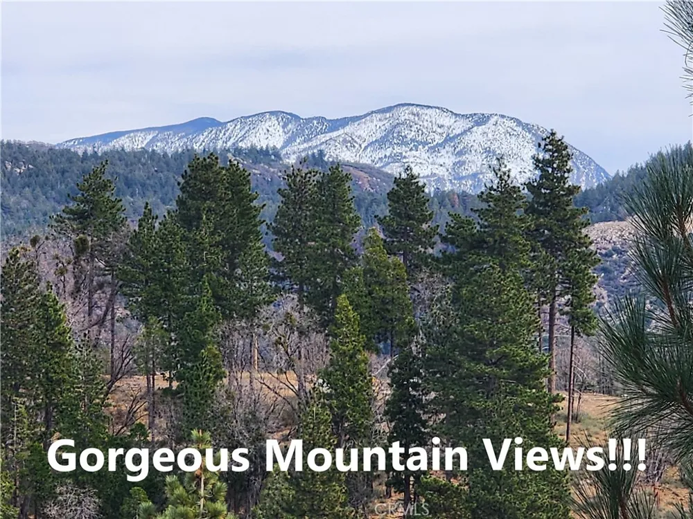 30914 Old City Creek Road Running Springs, CA 92382