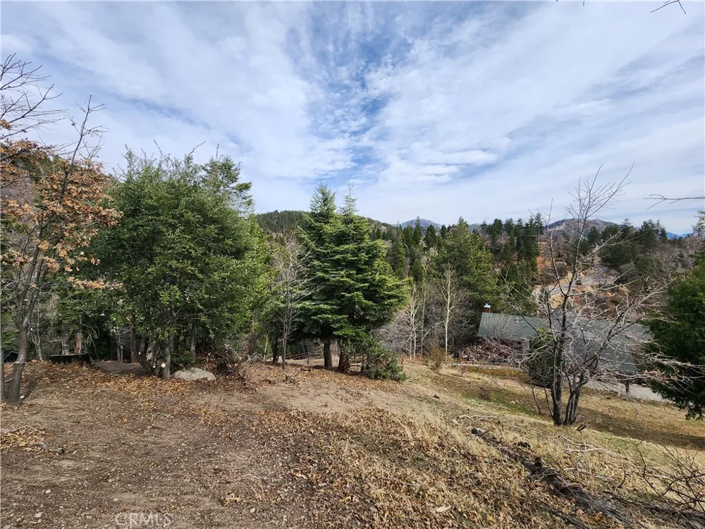 30914 Old City Creek Road Running Springs, CA 92382