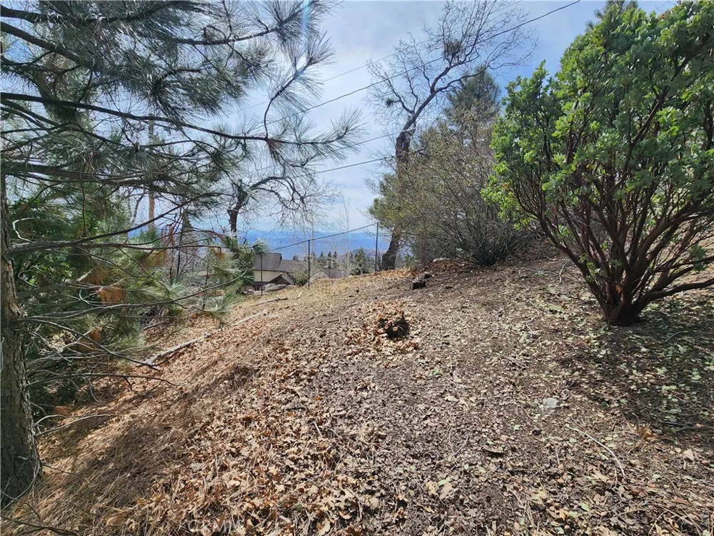 30914 Old City Creek Road Running Springs, CA 92382