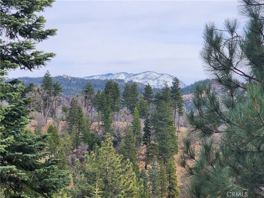 30914 Old City Creek Road Running Springs, CA 92382