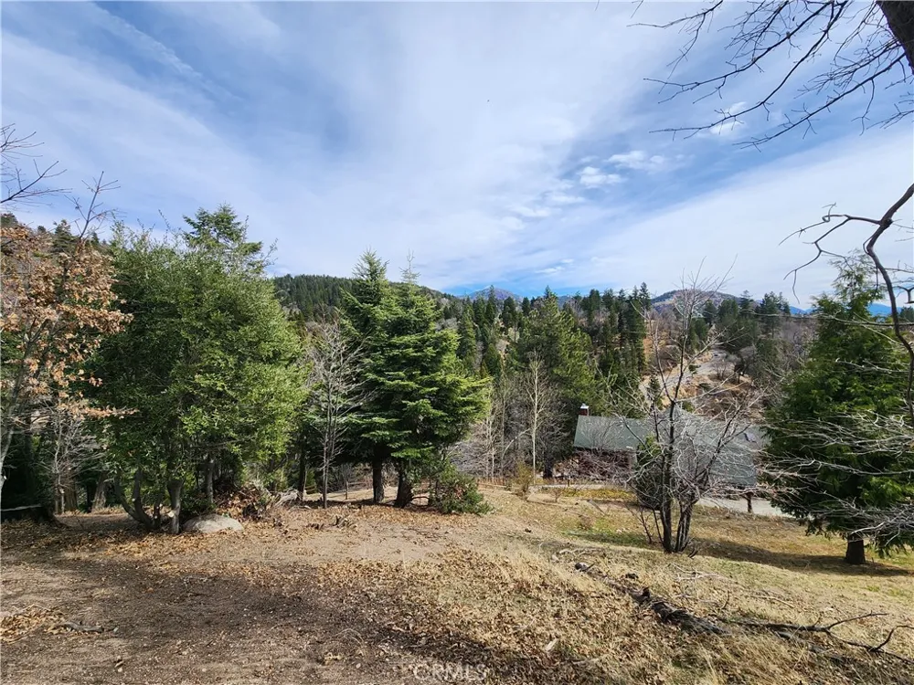 30914 Old City Creek Road Running Springs, CA 92382