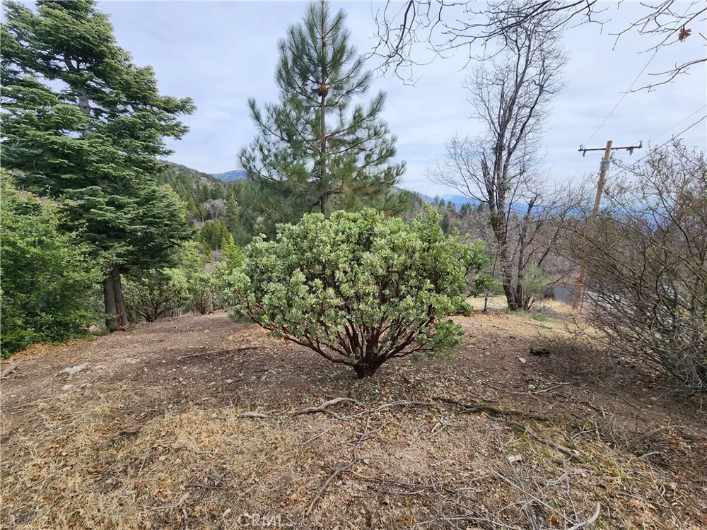 30914 Old City Creek Road Running Springs, CA 92382